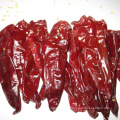 Großhandel getrocknete Chilischoten Chili Pepper Whole Factory Supply